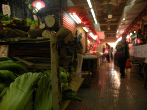 DSCN0017