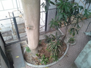 20160307_172528