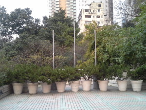 20160307_174847